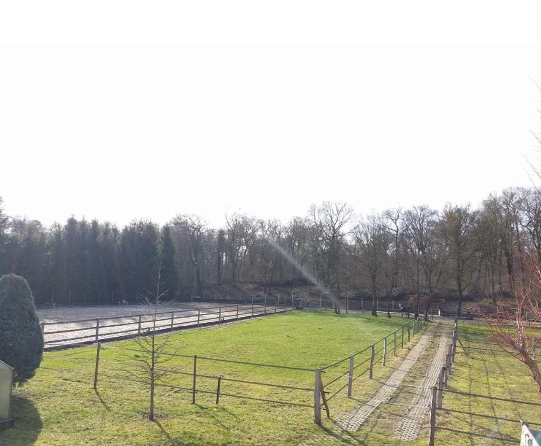 Repos Rouge-Plaisir Au Milieu Des Chevaux Apartment Kembs Exterior foto