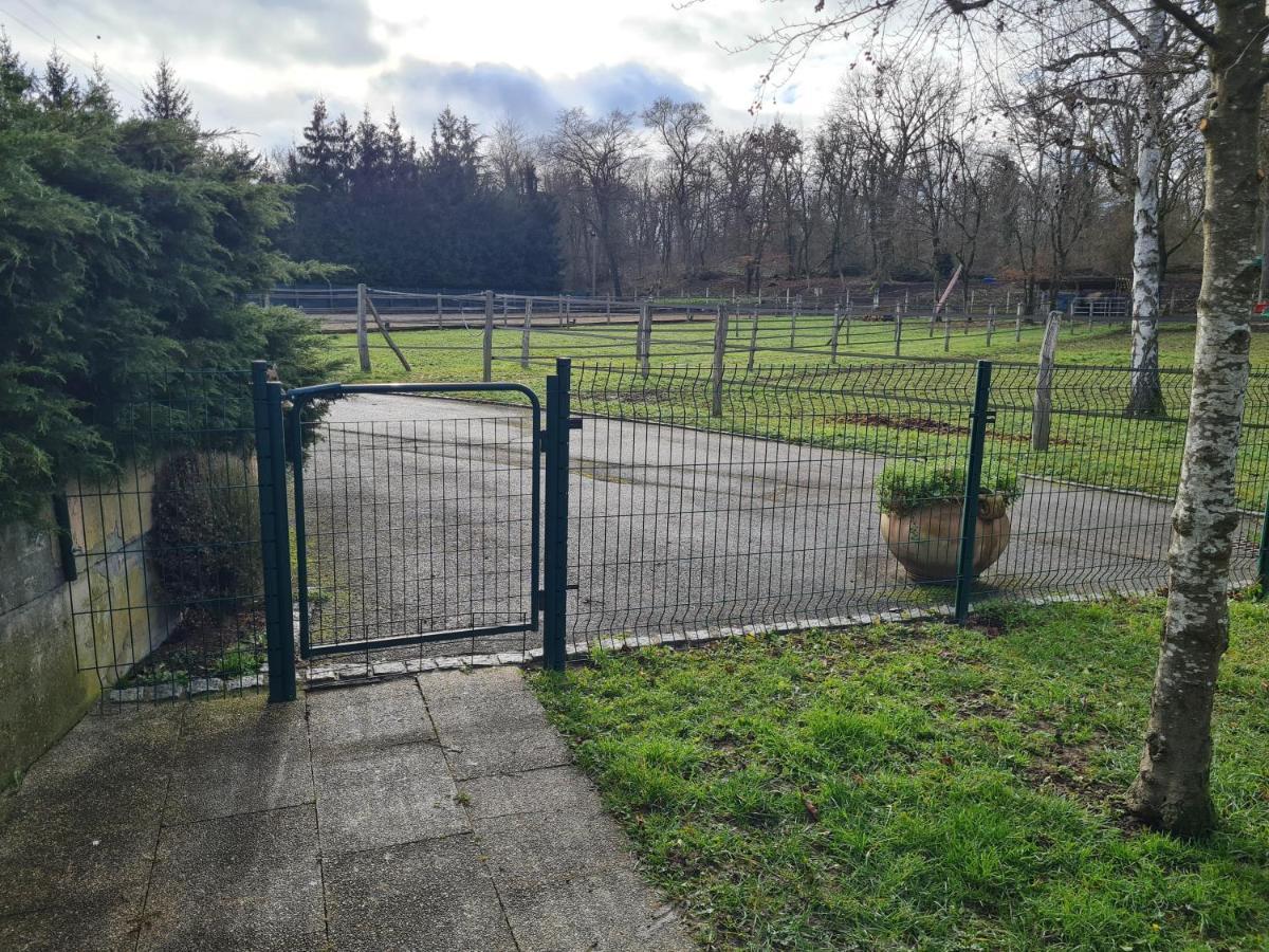 Repos Rouge-Plaisir Au Milieu Des Chevaux Apartment Kembs Exterior foto