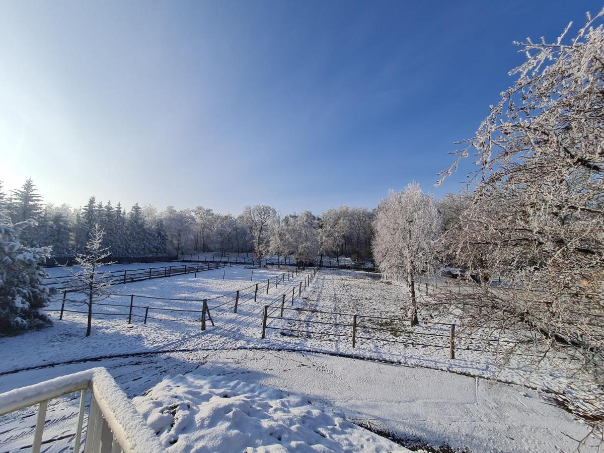 Repos Rouge-Plaisir Au Milieu Des Chevaux Apartment Kembs Exterior foto