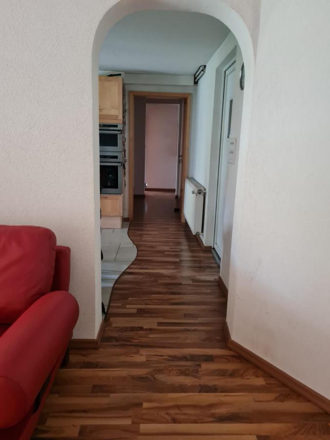 Repos Rouge-Plaisir Au Milieu Des Chevaux Apartment Kembs Exterior foto